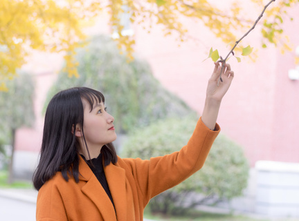 菲律宾大学有几个校区